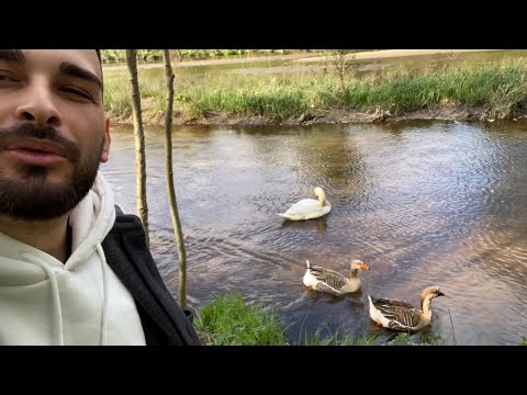 ASMR | PETITE BALADE EN FORÊT 🌳