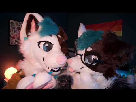 Furry ASMR with my gay twin