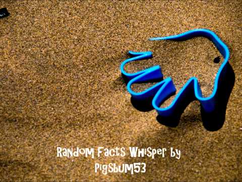 Random Facts Whisper ASMR