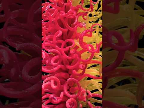 ASMR Extremely Clicky Voiceover | My Trip to Chuhuly Collection #asmr #voiceover #relax ♥️🎉