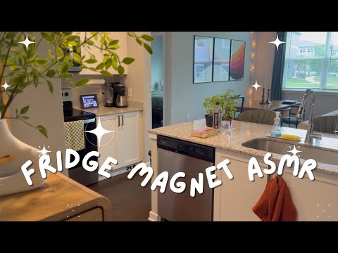 ASMR Fridge Magnet Tour (loud nail tapping, whispered, lo-fi)
