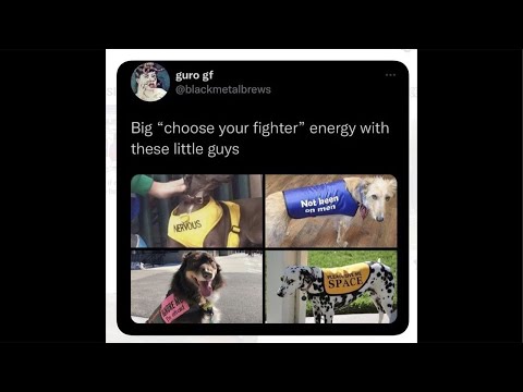 asmr yippee!