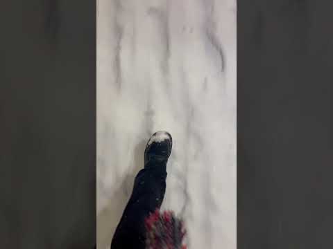 SNOW!❄️ #asmr #snow