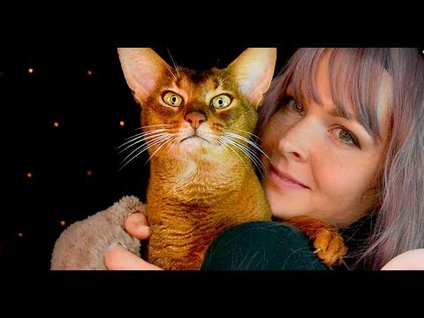 MON CHAT SE JETTE SUR MOI PENDANT LE TOURNAGE D'UNE VIDÉO ASMR  asmr français, fr, 3dio chuchotement