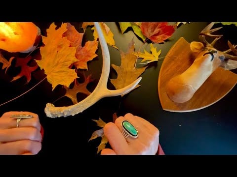 Why Deer Shed Antlers 🦌| ASMR
