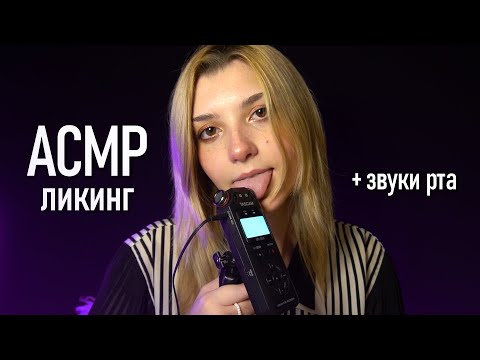 АСМР 👅 ликинг + звуки рта // asmr licking Tascam DR-05x