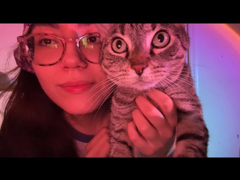 Lofi Fast & Aggressive ASMR for Tingles (Rain & Thunder in Background) ⛈️🤍