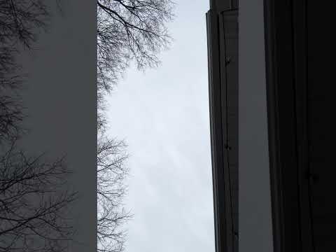Outside Asmr: Wind chimes, cars passing by, & nature 💨🍃