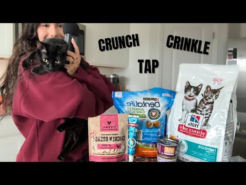 ASMR What I Feed My Cats [Lo-fi, Whispered]