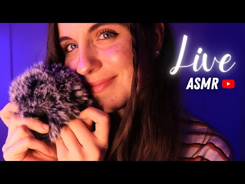 LIVE ASMR - Viens passer un petit moment tout calme avec nous ! 🎄