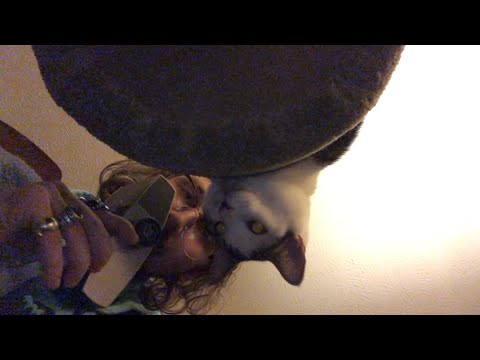 ASMR Cat Purring Into Microphone {Unconventional ASMR}