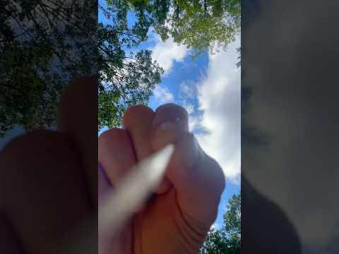 Toothpick asmr #asmr #asmrshorts #shorts #visualasmr #raeasmr #asmrvideos #visualtriggers #relaxing