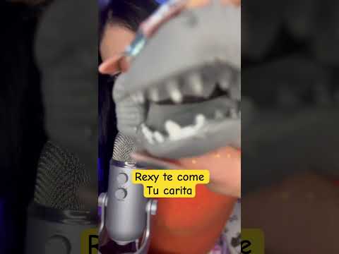 Rexy te come tu carita😁 #asmr #relax #duerme #satisfying #relajante #chica #tingles