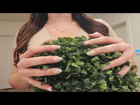ASMR Scratching Topiary Plant / Boxwood Ball (No Talking)