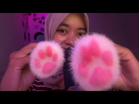 My New Triggers ASMR Paw Brush 🐾