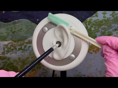 Delicious Ear Triggers Inside & Out 🫠 | ASMR | Picking, Pressure, Gloves, etc