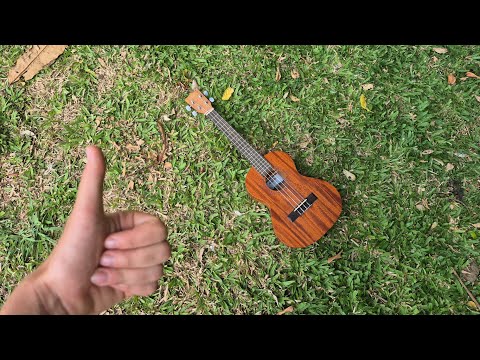 ☀️Sweet Spring Serenades🌱Learning to play the Ukelele🎶