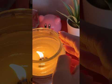 lofi ASMR Cozy Tapping