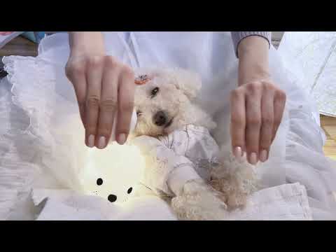 Asmr Relaxing Spa | Tapping, For relaxation and sleep
