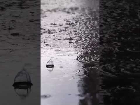 heavy rain relax #shorts #nature