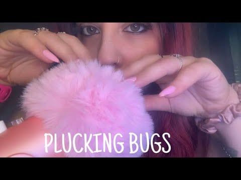 ASMR PLUCKING BUGS