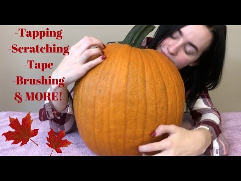 [ASMR] PUMPKIN TRIGGERS!!!! (tapping, scratching, tape, etc.)