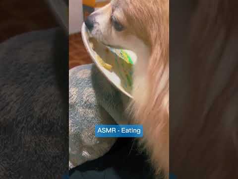 ASMR Eating - Sunny