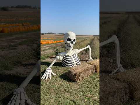ASMR PUMPKIN PATCH vlog🎃! #asmrvlog #asmrvlogs #bestlifebybrooke #asmr #diml #minnesota #tingles