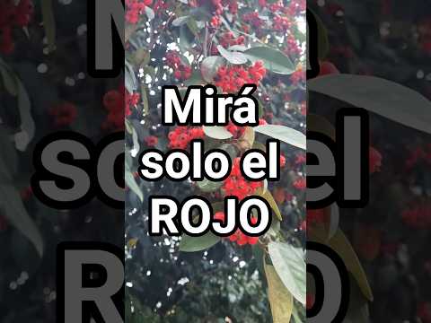 asmr afuera #asmr #visualtingle #tingles #mouthwhisper