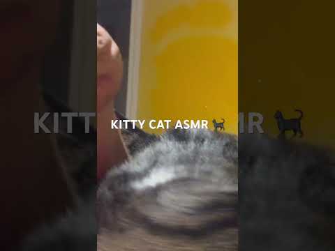 ASMR ft KITTY!!🐱🐈‍⬛