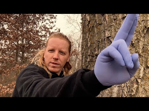 Fast and Chaotic ASMR Cranial Nerve Exam On A Tree 🌲 And You