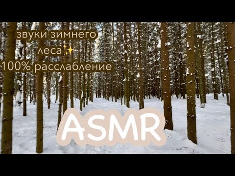 🌲❄️ ASMR в лесу, звук природы: хруст снега под ногами, стук дятла и таппинг по дереву