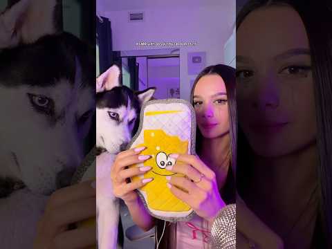 #ASMR with absolutely random stuff in my apartment (dog toys, remotes etc..) 🐕💤 #asmrvideo #sleep