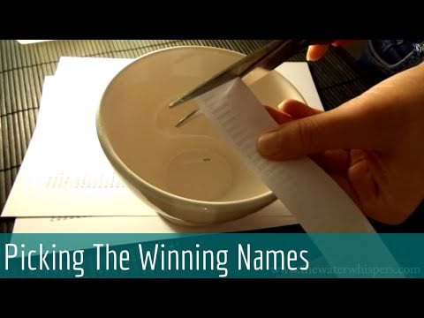 ASMR Soft spoken - 5 Winners for the T-shirt contest