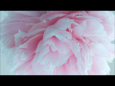 [ASMR] Slow ★ Breathing, Mouth sounds & unintelligible ★ Whispers  [binaural] [mouth sounds]