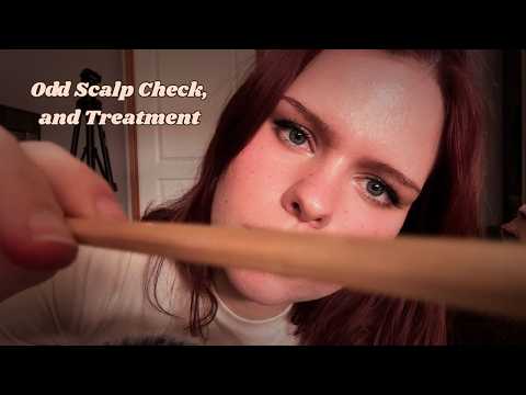 ASMR Odd Scalp Check, Hair Play, and Massage (2.5 hr Lice🪳 and Hair Treatment Compilation)