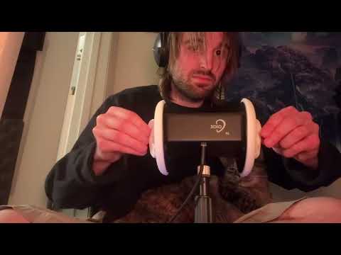3dio bs session with cat asmr 