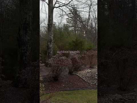 cozy outdoor asmr 🩶