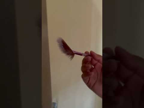 ASMR | Sharp or Dull test in 1 minute #1minuteasmr #sharpordull #oneminuteasmr