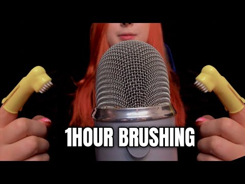 [ASMR] 1 Hour Sleep for The Sleepless ~ Microphone Brushing