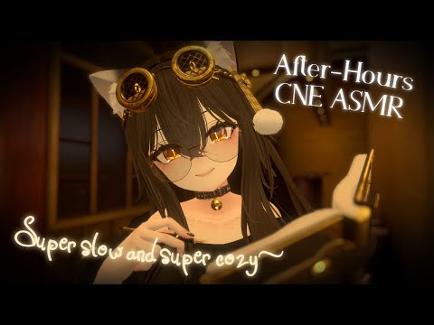 Super Slow Cranial Nerve Exam (On a Train!) | VRChat 3Dio ASMR