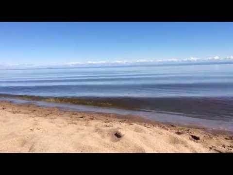 Sounds of Nature | Relaxing Music | Seawaves, Seagulls, Rain | Binaural HD ASMR