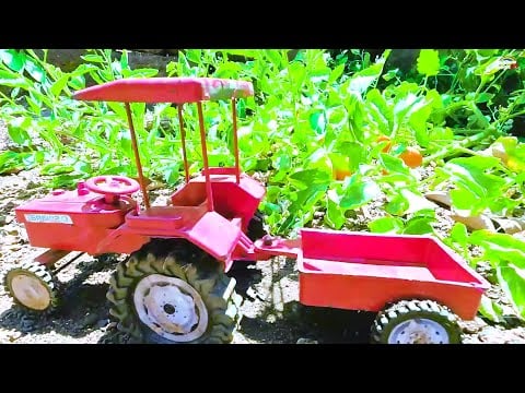 mini Tractor tomato loading stuck in mud help mini swaraj tractor jcb video