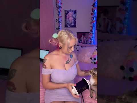 Kitty goes PURRR #asmr #shorts #kitty