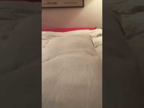 Massage and Adjustments for Spinal Symmetry  #asmr #relax #asmrroleplay