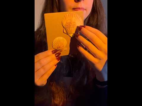 ASMR trigger board 1 🐚 #asmr