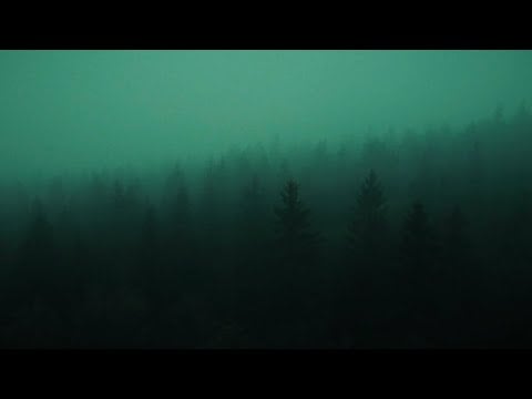 🌫️ Heavy Rain in a Foggy Forest | 8 Hours of Rain, Thunder & Green Noise for Sleep 🌧️