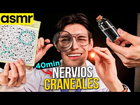 asmr nervios craneales roleplay - ASMR Español