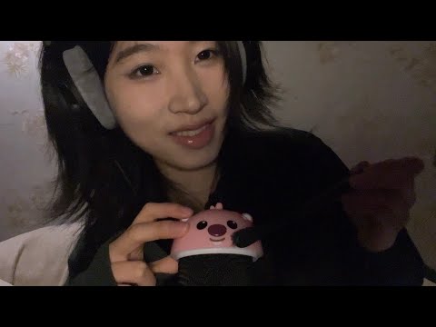 ASMR with Loopy ෆ˙ᵕ˙ෆ scratch, ear cleaning, scalp massage, brush…