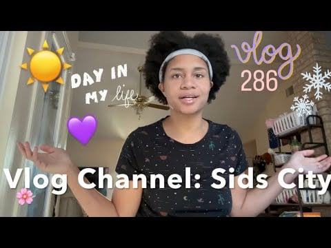 Vlog #286 - Clean Routine With The Twins